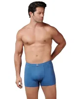 Modal Elastan Mavi Erkek Boxer Gümüş 7009 Mavi