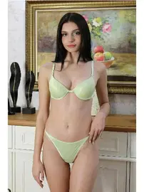 Akbeniz Destekli Parlak Kadın Sütyen Takım Akbeniz 3602