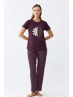 Papatya Baskılı Kısa Kollu Penye Pijama Takımı Akbeniz 2785 Mürdüm