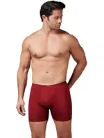 Bambu İnce Bel Elastan Erkek Boxer Gümüş 8007 Bordo