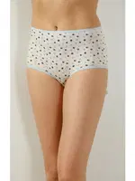 Battal Full Lycralı Dantelli Bato 4Lü Paket Kadın Yüksek Bel Külot Öztaş 21006-H Görsel