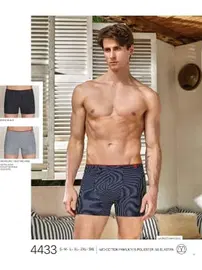 Berrak Çizgili Pamuklu Erkek Boxer Berrak 4433