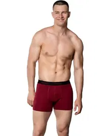 Gümüş Bordo Likralı Bel Lastikli Pamuklu Erkek Boxer Gümüş 3074