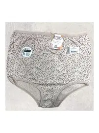 Anıt Desenli Bato Yüksek Bel Kadın Külot Anıt 3880 - 10 Adet