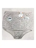 Desenli Bato Yüksek Bel Kadın Külot Anıt 3880 - 10 Adet Asorti