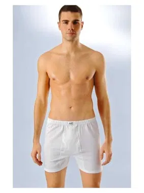 Anıt Erkek Boxer Paçalı Penye Kumaş Anıt 1169 - 6 ADET