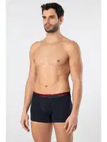 Desenli Likralı Erkek Boxer 3lü Cacharel 1339 Lacivert 5 görsel 4