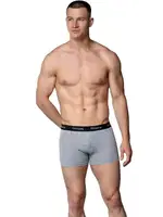 Gri Pamuklu Likralı Erkek Boxer Gümüş 3074 Gri