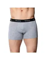 Gri Pamuklu Likralı Erkek Boxer Gümüş 3074 Gri detay görünüm