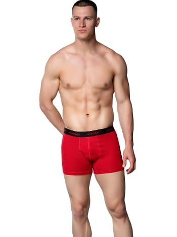 Kırmızı Likralı Pamuklu Erkek Boxer Gümüş 3074