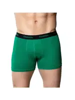 Likralı Bel Lastikli Pamuklu Erkek Boxer Gümüş 3074 Yeşil detay görünüm