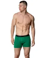 Likralı Bel Lastikli Pamuklu Erkek Boxer Gümüş 3074 Yeşil farklı açı