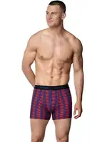 Likralı Empirme Karışık Desen Erkek Boxer Gümüş 3064 Asorti görsel 4