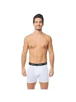 Erkek Elestan Spor Boxer Tutku 0400 Havaci Mavi