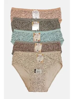 Anıt Yanları Dar Desenli Bato Yüksek Bel Kadın Külot Anıt 3884 - 10 Adet