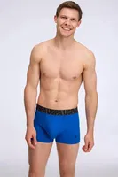 3'lü Sarı Lacivert Erkek Boxer Sarı Lacivert Saks Erkek Boxer Us. POLO Assn. 80587 Görsel görsel 4
