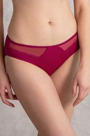 Anıl Anıl Tüllü Külot 2779