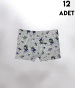 Desen Baskılı Penye Erkek Çocuk Boxer 12'li Kota 1013 Asorti görsel 4