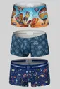 Erkek 3 lü Boxer Doreanse 1747
