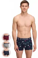 Erkek 3 Lü Boxer US. POLO ASSN. 80583 Görsel