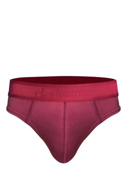 Erkek Bordo Pamuklu Lastikli Slip Külot Darkzone DZ-1103-12-S