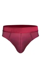 Erkek Bordo Pamuklu Lastikli Slip Külot Darkzone DZ-1103-12-S Görsel