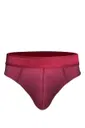 Erkek Bordo Pamuklu Lastikli Slip Külot Darkzone DZ-1103-12-S