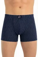 Erkek Boxer Çizgili Pamuklu 2675 Öts görsel 9