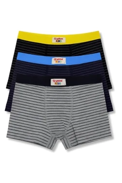 Yıldız Çamaşır Erkek Çocuk Likralı Havlu Bel Boxer Çizgili 3'lü Paket Yıldız 28