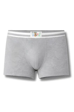 Yıldız Çamaşır Erkek Çocuk Ribana Boxer Gri %100 Pamuk 3'lü Paket Yıldız 31Ç - Alternatif Görünüm
