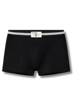 Yıldız Çamaşır Erkek Çocuk Ribana Boxer Siyah %100 Pamuk 3'lü Paket Yıldız 29Ç - Alternatif Görünüm