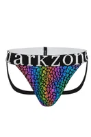Erkek Fantezi Arkası Açık Rainbow Mozaik Desenli Deri Jockstrap Darkzone DZ-1401-104-S Görsel