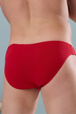 Darkzone Erkek Kırmızı Pamuklu Klasik Slip Külot Darkzone DZ-1104-06-S - Alternatif Görünüm