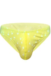 Darkzone Erkek Papatya Desenli Sarı Pamuklu Klasik Slip Külot Darkzone DZ-1104-110-S