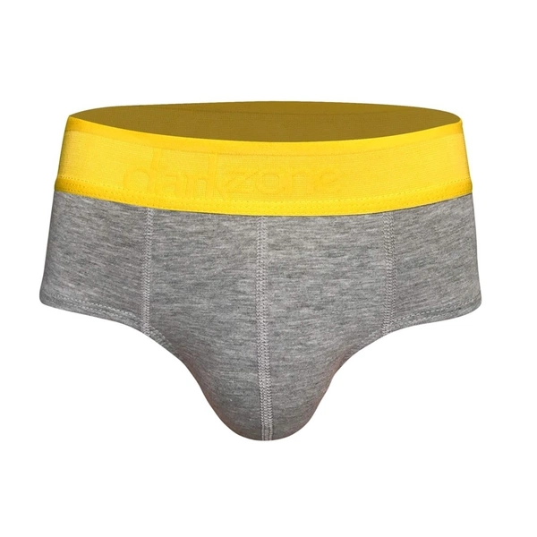 Erkek Sarı Lastikli Gri Pamuklu Lastikli Slip Külot Darkzone DZ-1103-24-S