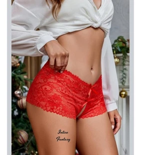 Esnek Dantelli Ağı Açık Fantezi Külot Brazilian Feel Lady F1047 - Alternatif Görünüm