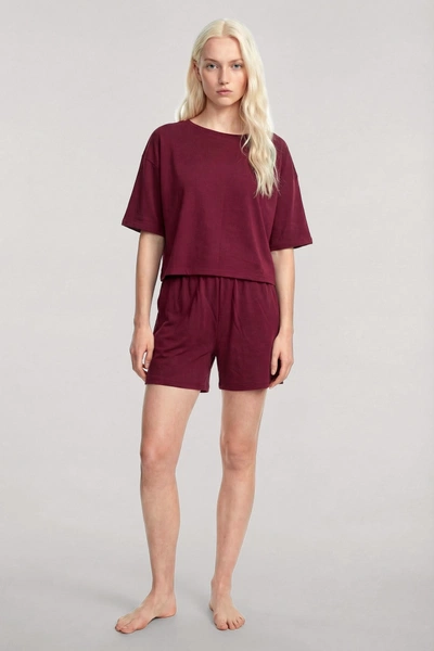 Kadın Bordo Kısa Kollu Şortlu Pijama Takımı Akbeniz Y1300