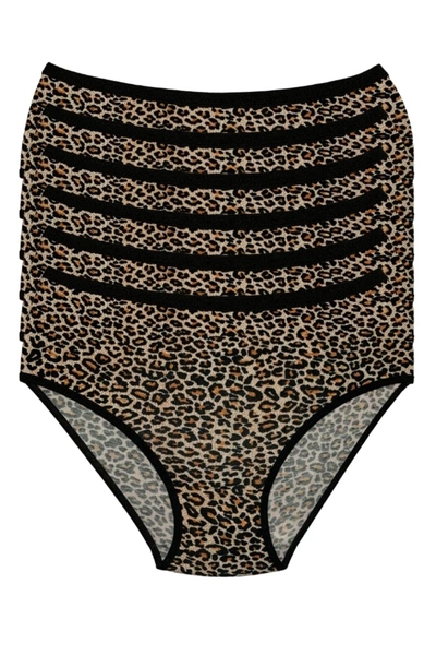 Likralı Leopar Desen Bato Kadın Yüksek Bel Külot 6'lı Paket Yıldız