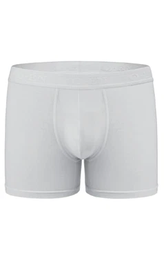 Micro Modal Erkek Boxer Q-En 101