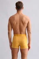 Modal by Tencel Spartacus Plus Performance Boxer Mısırlı EBXR000010 Petrol görsel 38