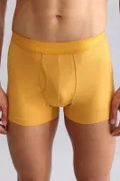 Modal by Tencel Spartacus Plus Performance Boxer Mısırlı EBXR000010 Petrol görsel 39