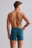 Modal by Tencel Spartacus Plus Performance Long Boxer Mısırlı EBXR000011 görsel 29