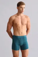 Modal by Tencel Spartacus Plus Performance Long Boxer Mısırlı EBXR000011 görsel 32