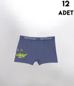 Parça Baskılı Penye Erkek Çocuk Boxer 12'li Kota 1005 Asorti görsel 4