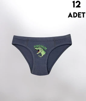 Parça Baskılı Penye Erkek Çocuk Slip Külot 12'li Kota 1019 - Alternatif Görünüm