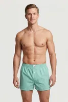 Poplin Boxer Cacharel 1113/Kareli Yeşil Kareli Yeşil