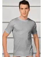 Erkek Pamuklu Kısa Kol Dar Yaka Klasik Fanila T-Shirt Anıl 2505 Gri farklı açı