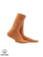 Kadın Organik Pamuklu Havlu 6 Çift Kutulu Soket Çorap Çok Renkli Mısırlı KSKT000032 Çok Renkli görsel 4