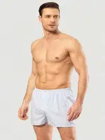 Poplin Boxer Cacharel 1113/Çizgili Açık Mavi Açık Mavi farklı açı